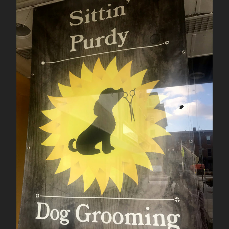 Sittin Purdy Dog Grooming Urbana